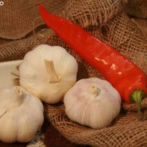Czosnek świeży
