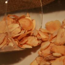 Czosnek suszony płatek