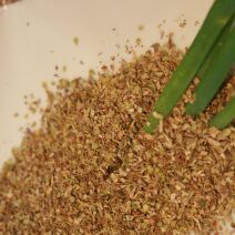 Zioła prowansalskie